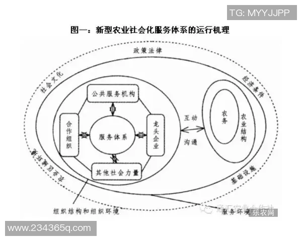 成都乒乓球队战术解析与转换体系的深度探讨与实践应用