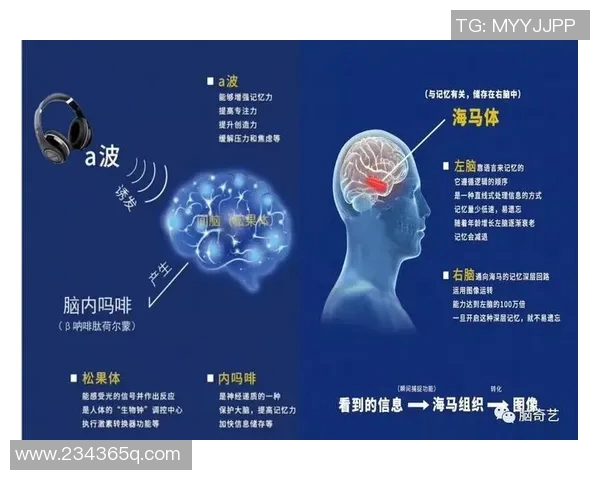 成都足球队心理素质排名第一揭示球队成功背后的秘密与优势